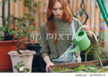 Home gardening concept. Young woman plants floral in greenhouse. Home gardening concept. Young woman plants floral in greenhouse. 81000012