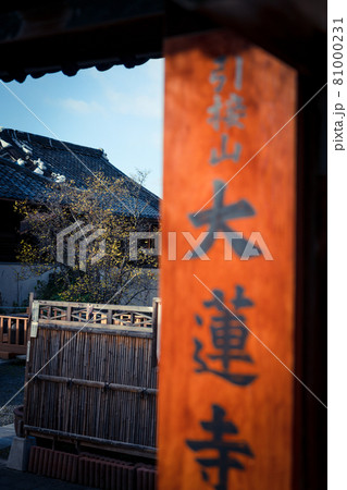 京都市左京区にある大蓮寺の蝋梅を撮影 81000231