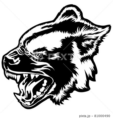 Wild prairie animals, hyena head on a white background. Drawing for t-shirt 81000490
