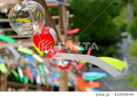 夏の日の法多山 81000646