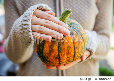 Closeup natural autumn fall view woman hands holding yellow pumpkin. Inspirational nature october or september wallpaper. Change of seasons, ripe organic food concept. Halloween party Thanksgiving 81000922