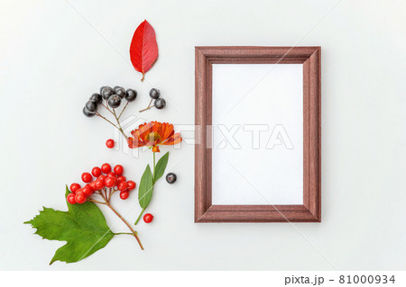 Autumn floral composition. Vertical frame mockup chokeberry rowan berries colorful leaves dogrose flowers on white background. Fall natural plants ecology concept. Flat lay top view, copy space 81000934