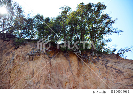 エンジェルロード 天使の遊歩道 中余島の美しき岩盤層の写真素材