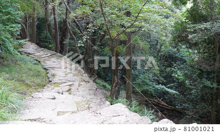 夏の和歌山　摂社神倉神社の石段 81001021