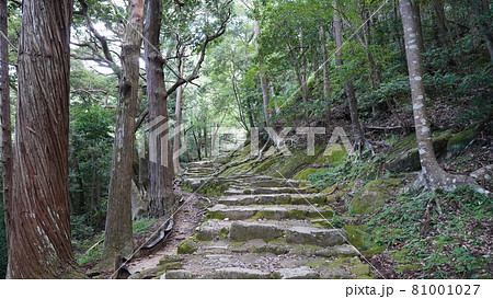 夏の和歌山　摂社神倉神社の石段 81001027