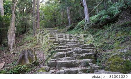 夏の和歌山　摂社神倉神社の石段 81001029