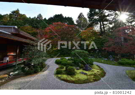 曼殊院の紅葉 曼殊院の紅葉 81001242