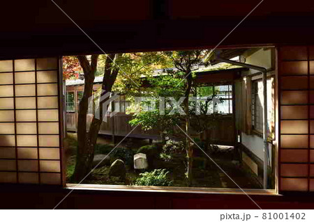 曼殊院の紅葉 曼殊院の紅葉 81001402