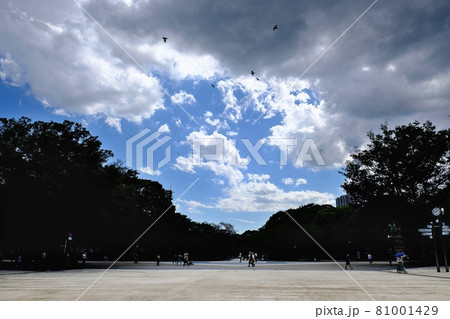 夏空の下 上野恩賜公園 夏空の下 上野恩賜公園 81001429