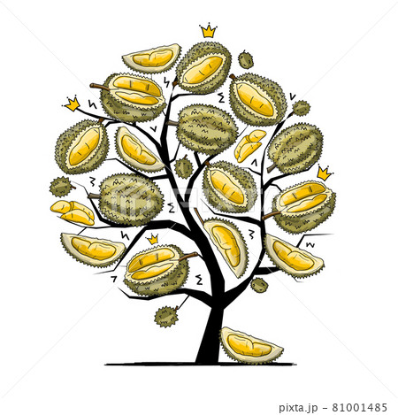 Tree with Durians, sketch for your design Tree with Durians, sketch for your design 81001485