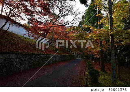 曼殊院の紅葉 曼殊院の紅葉 81001578
