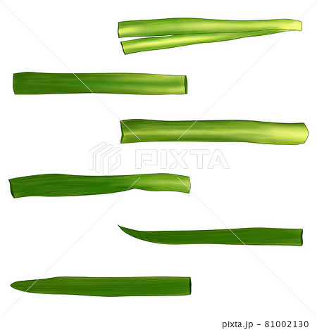 野菜 ニラ 一覧 (イラスト)鍋・弁当・料理画像にも使えます 組合せシリーズ 野菜 ニラ 一覧 (イラスト)鍋・弁当・料理画像にも使えます 組合せシリーズ 81002130