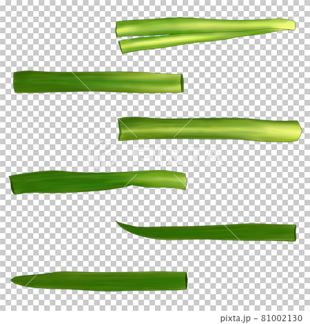Vegetable chives list (illustration) Can also be used for hot pots, bento boxes, and cooking images Combination series 81002130