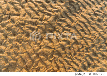 Background Of Brown Eroded Soil, Soil After Flooding Or Heavy Rains 81002579