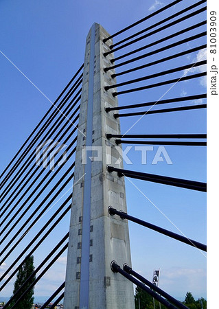 ツインハープ橋・3径間連続PC斜張橋 ツインハープ橋・3径間連続PC斜張橋 81003909