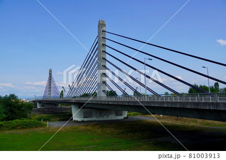 ツインハープ橋・3径間連続PC斜張橋 ツインハープ橋・3径間連続PC斜張橋 81003913