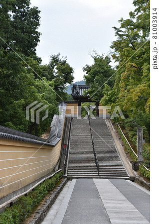 金閣寺 不動堂階段 夏の京都 金閣寺 不動堂階段 夏の京都 81003914