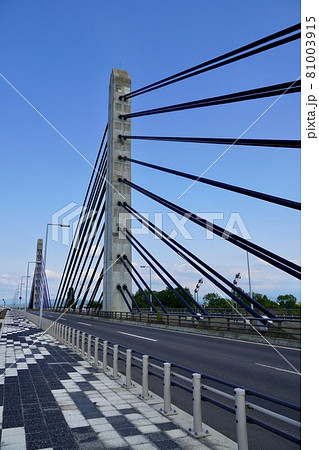ツインハープ橋・3径間連続PC斜張橋 ツインハープ橋・3径間連続PC斜張橋 81003915