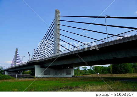 ツインハープ橋・3径間連続PC斜張橋 ツインハープ橋・3径間連続PC斜張橋 81003917