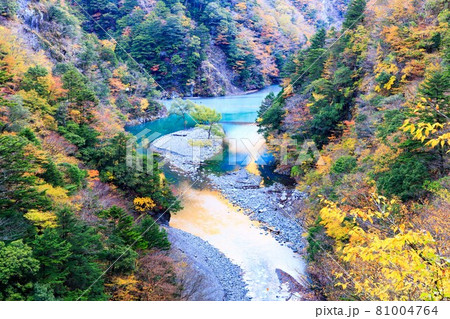 静岡県川根本町 寸又峡の紅葉と夢の吊橋 静岡県川根本町 寸又峡の紅葉と夢の吊橋 81004764