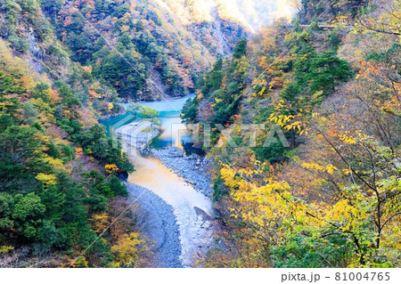 静岡県川根本町 寸又峡の紅葉と夢の吊橋 静岡県川根本町 寸又峡の紅葉と夢の吊橋 81004765