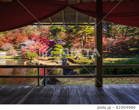 東屋から見る秋の日本庭園　紅葉　秋イメージ 81004980