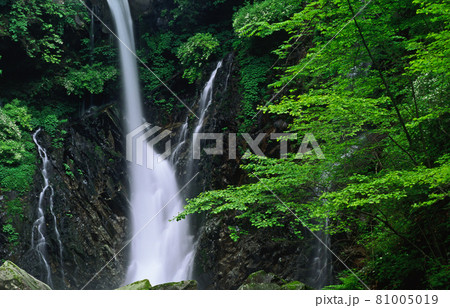 新緑の日光・緑の森と裏見ノ滝の風景 新緑の日光・緑の森と裏見ノ滝の風景 81005019