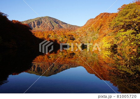 青森県 蔦の七沼 赤沼の紅葉 青森県 蔦の七沼 赤沼の紅葉 81005720