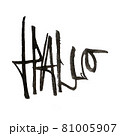 Hello greeting in German language - Hallo. Raster high resolution illustration isolated on white. Textured expressive brush pen calligraphy with black ink. Water color effect.  81005907