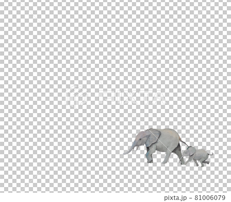 A picture with a margin where an elephant is drawn at one point in the lower right A picture with a margin where an elephant is drawn at one point in the lower right 81006079