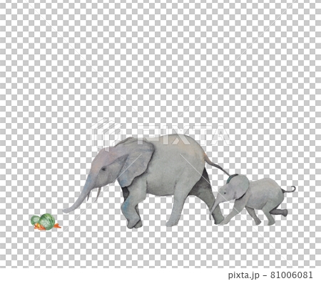 餌を求めるゾウの親子のイラストのイラスト素材