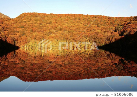 青森県 蔦沼の紅葉 81006086