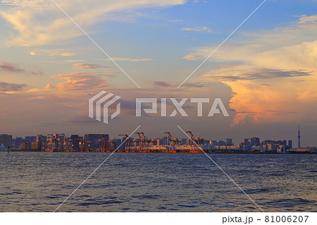 東京都 城南島海浜公園から望む東京臨海部夕景 東京都 城南島海浜公園から望む東京臨海部夕景 81006207