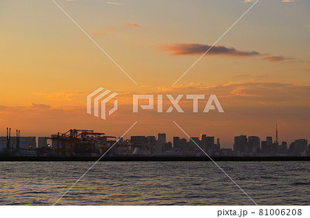 東京都 城南島海浜公園から望む東京臨海部夕景 東京都 城南島海浜公園から望む東京臨海部夕景 81006208
