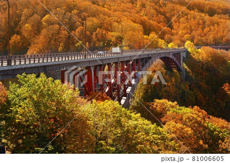 青森県 城ヶ倉大橋の紅葉 青森県 城ヶ倉大橋の紅葉 81006605