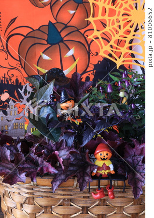 ハロウィンイメージ ハロウィンイメージ 81006652