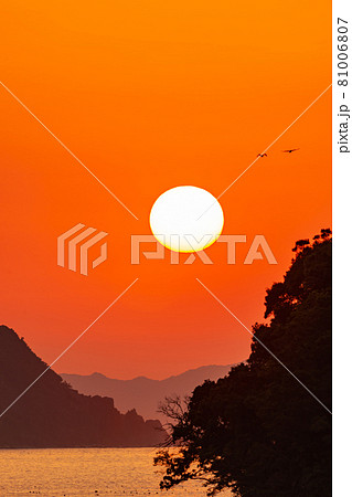 水床湾の朝陽 81006807