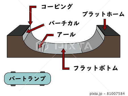 スケートパークで使用される練習道具や各部位の名称が分かるイラスト バートランプ 主線あり のイラスト素材