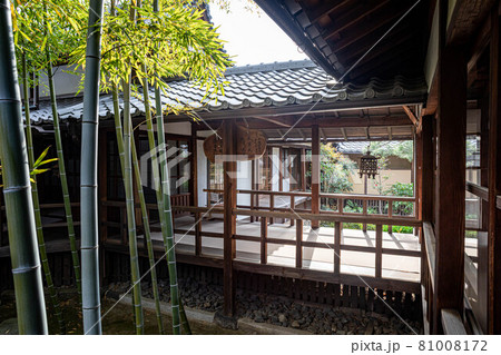 妙顕寺の春、春の日差しが光の柱になる「孟宗竹の坪庭」 81008172
