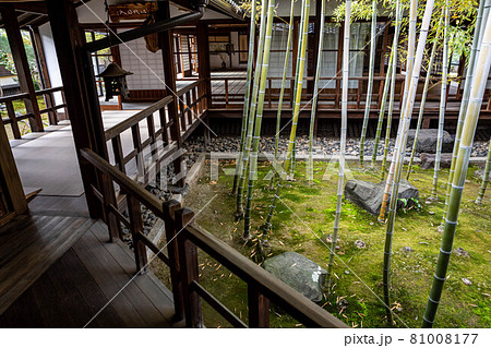 妙顕寺の春、吊り灯篭のある木の手すりと「孟宗竹の坪庭」 妙顕寺の春、吊り灯篭のある木の手すりと「孟宗竹の坪庭」 81008177