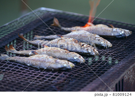 ニジマスの塩焼き 川魚 淡水魚 虹鱒 炭火焼き バーベキュー 調理の写真