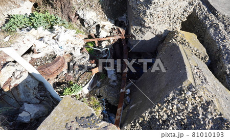 秋の東京湾の第二海堡 81010193