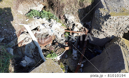 秋の東京湾の第二海堡 81010194