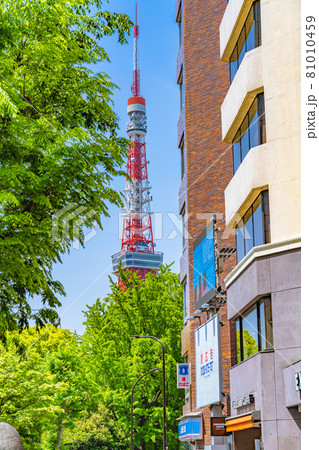 東京の都市風景 芝公園 御成門駅周辺の風景 東京の都市風景 芝公園 御成門駅周辺の風景 81010459