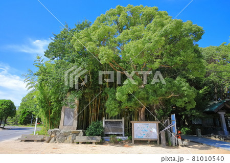 【兵庫県】おのころ島神社 81010540