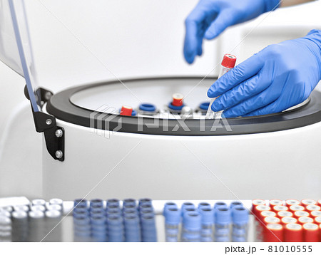 Gloved hands that place test tubes in a laboratory centrifuge. Gloved hands that place test tubes in a laboratory centrifuge. 81010555
