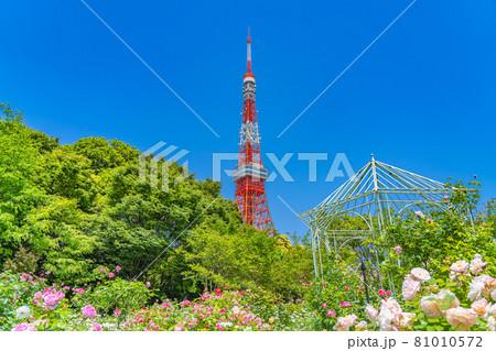 東京の都市風景 港区芝公園周辺の風景 81010572