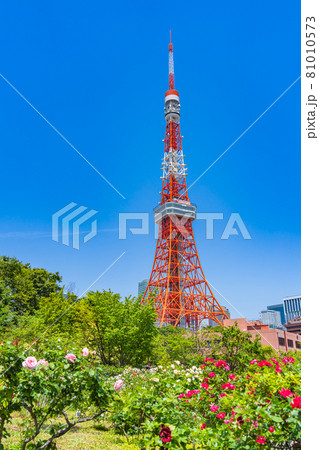 東京の都市風景 港区芝公園周辺の風景 81010573