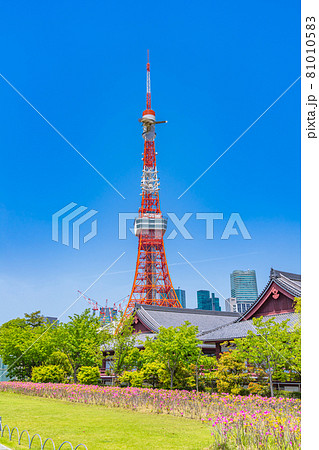 東京の都市風景 港区芝公園周辺の風景 東京の都市風景 港区芝公園周辺の風景 81010583