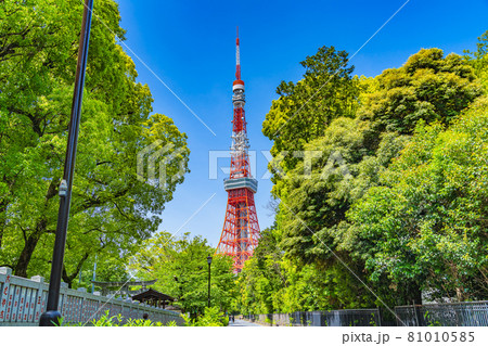東京の都市風景 港区芝公園周辺の風景 81010585